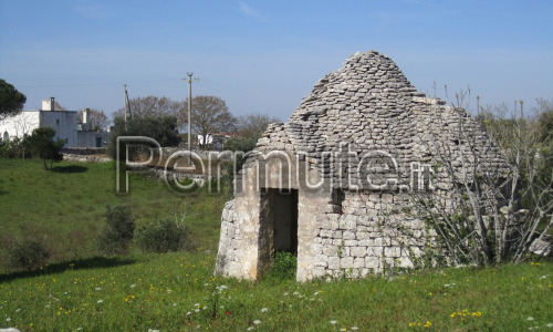 Trullo rustico con terreno di 1764 mq con ulivi