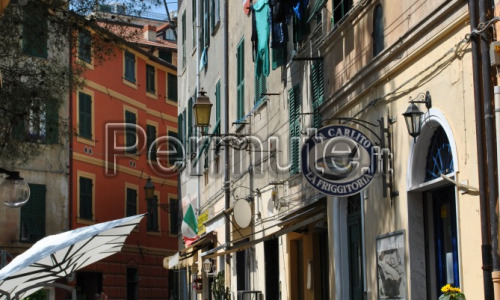 Attività di somministrazione, adibita a ristorante friggitoria in Arenzano