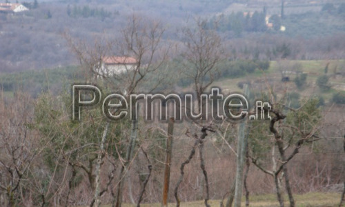 Grande porzione di terreno con vista incantevole sulla Valpolicella