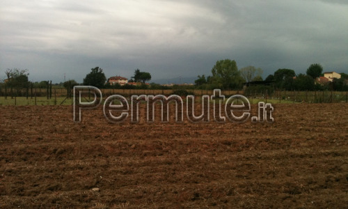 Terreno edificabile a Piombino (LI)