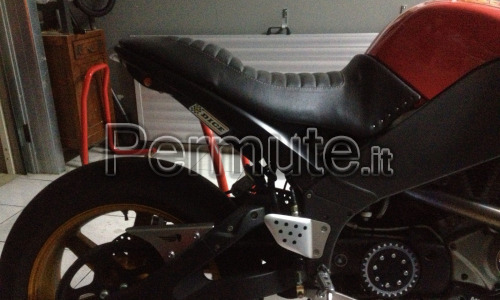 Permuto Buell xb12