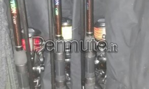 VENDO 3 CANNE DA PESCA CARP FISHING EURO 240,00