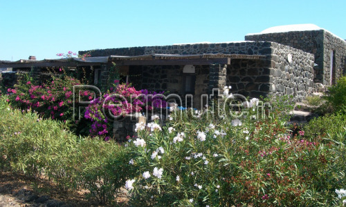 dammusuo pantelleria