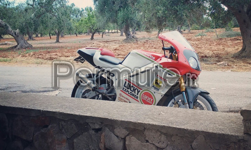 Cagiva mito II lucky explorer