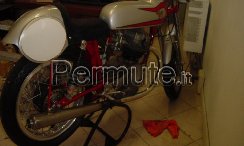 Ducati desmo 250 cc e Morini 175 Settebello corsa anni 60