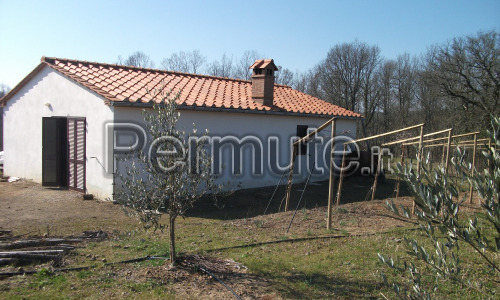 Terreno con annesso a Boccheggiano (Montieri-GR)