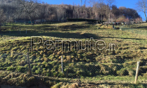 TERRENO EDIFICABILE IN VALGEROLA LOC. SACCO