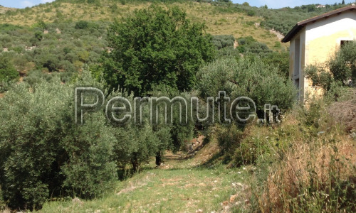 Casale appena ristrutturato immerso nel verde a 10 km dal mare!