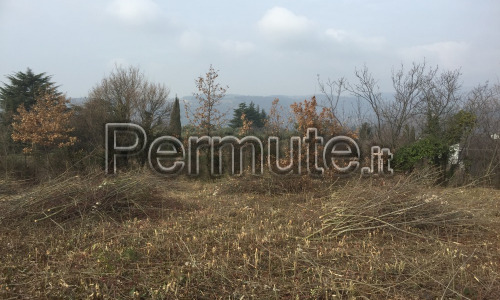 Bellissimo terreno agricolo