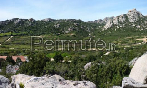 Terreno agricolo Costa Smerlda