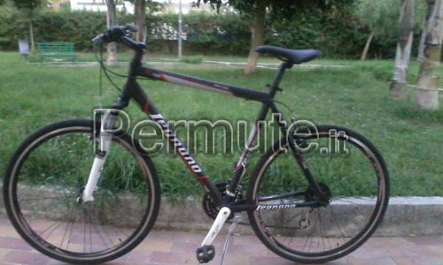 scambio bici ibrida