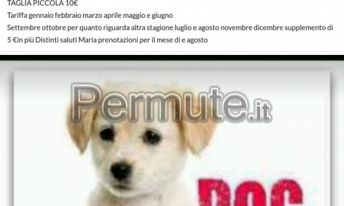 Offro pensione per cani di tutte le taglie