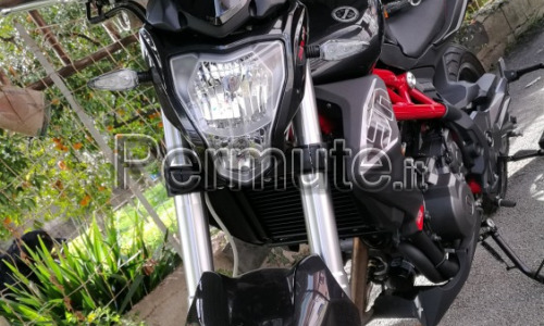 Scambio Benelli BN 302 con t max 530