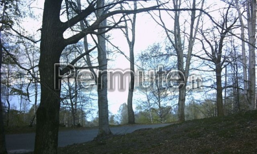 vista lago e aria di montagna