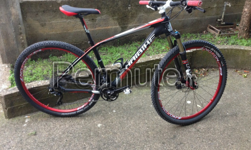 Mtb haybike 29 carbon