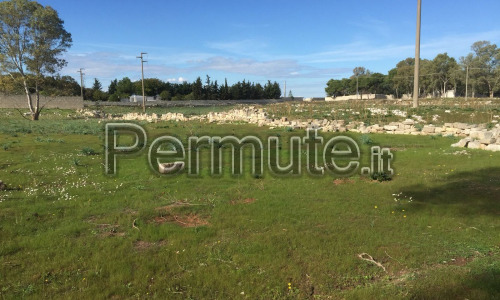 Due lotti di terreno edificabile B15 nel Salento