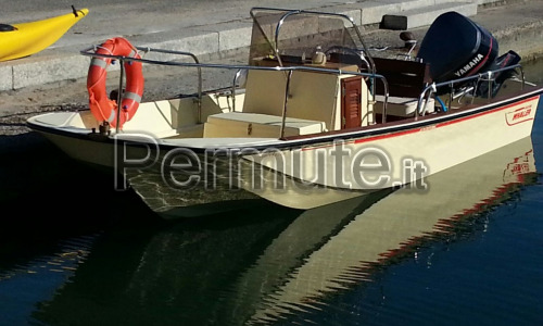 Boston whaler 17