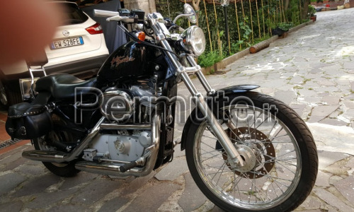 permuto Harley Davidson 883