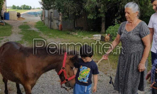 Scambio pony con cavallo