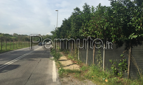 terreno espositivo zona alto traffico veicolare