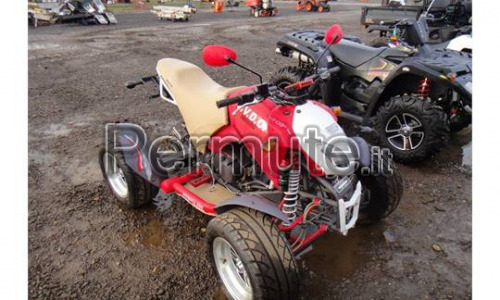 quad bashan 300