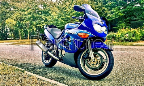 Suzuki gsx600f