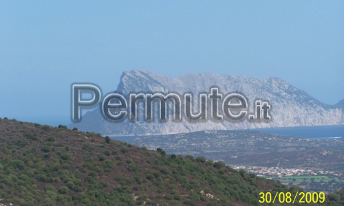 San Teodoro loc.Terra Padedda 3 ettari terreno con progetto di miglioranento fondiario