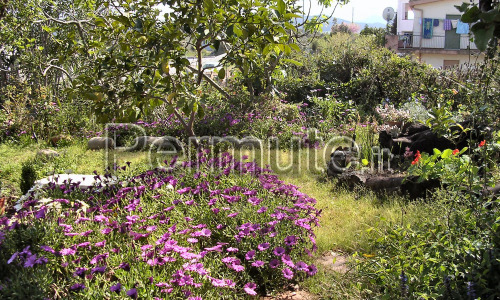 Sardegna. Villa indipendente con 600 mq di giardino