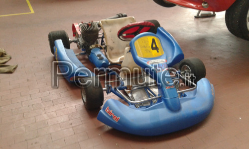 Go-kart 100cc avviamento elettrico