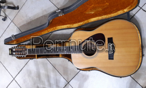 Chitarra 12 corde