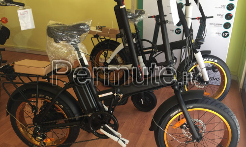 Scambio Fat-Bike 250W Con Scooter.