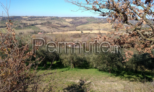 casale più annessi con terreno