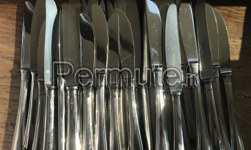 30 coltelli inox