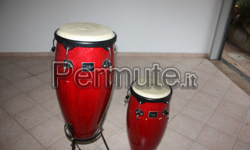 congas