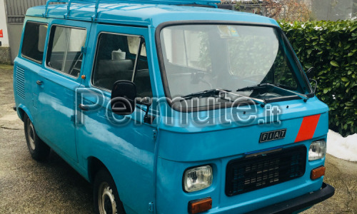 Pulmino Fiat 900 T panorama