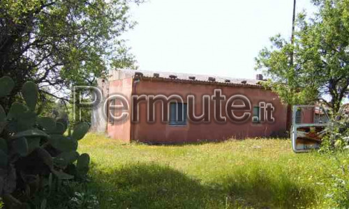 casa con terreno ulivetato cerchiara di calabria cs scambio