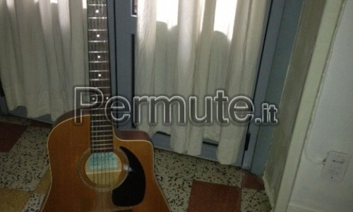 Chitarra Acustica Seagull scelta e suonata da noto chitarrista