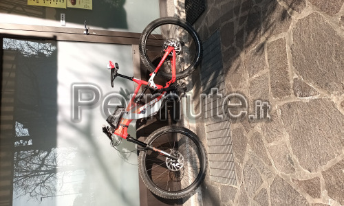 Mtb pedalata assistita