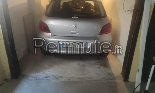 Scambio Peugeot 307 con piccolo furgoncino diesel