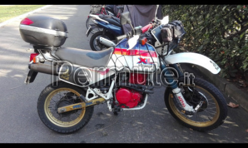 Honda XL 600 lm
