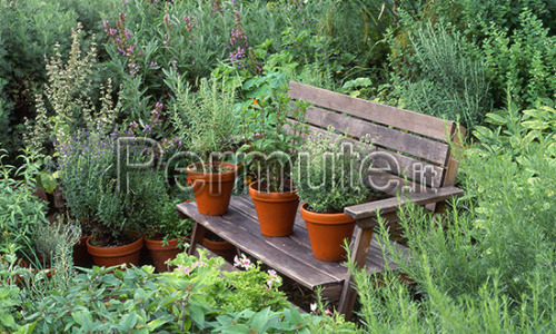 Offro :Cure infermieristiche ,giardinaggio, preparazione pietanze, competenze informatiche , viaggi