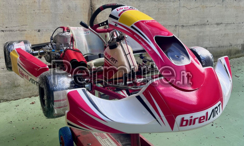 Kart Birel Art 125 TM KZ10C