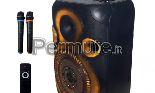 Cassa Amplificata 1200 Watt di picco NUOVA