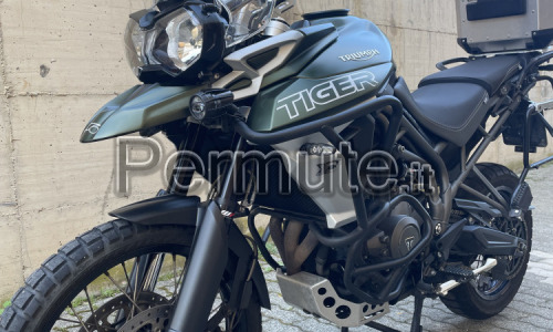 Tiger 800 xcx