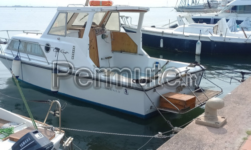 cabinato motore aifo td comon rail linea asse da 250 cv