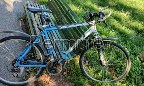 city bike / mountain biks