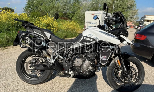 TRIUMPH 900 GT PRO