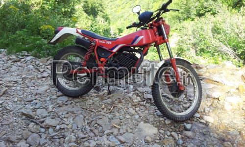 fantic trial 300