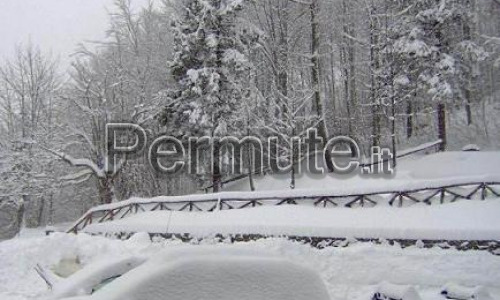 Abetone - loc. Pian di Novello (zona impianti sciistici)