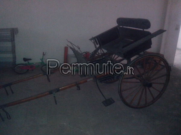 Partycolare- La Mia Scuderia 3 Cavalli Con Accessori